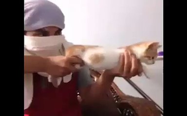 Funny Cat Gun -Must Watch-Top Funny Videos-Top Prank Videos-Top Vines Videos-Viral Video-Funny Fails