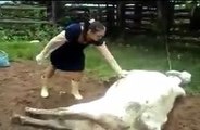 OMG ! Cow Hit Girl Face - Must Watch-Top Funny Videos-Top Prank Videos-Top Vines Videos-Viral Video-Funny Fails