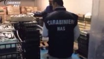Pescara - sequestrate e distrutte oltre 10 tonnellate di alimenti