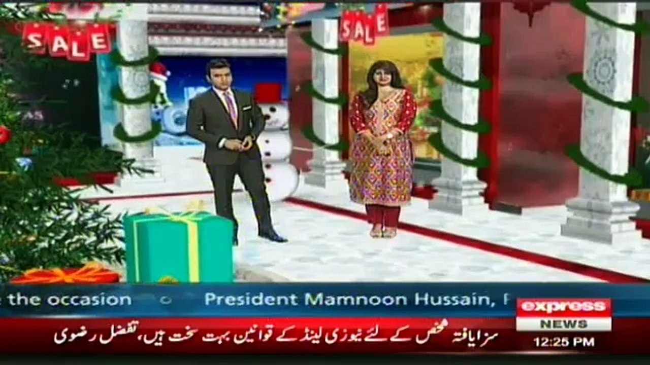 Remove Snow from House Roof