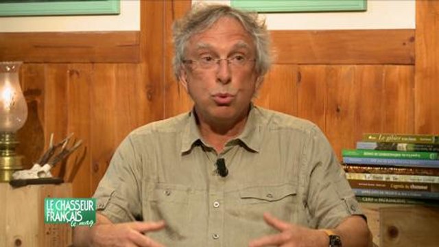 Chasseur français le mag 10, la migration 2015 de la bécasse.