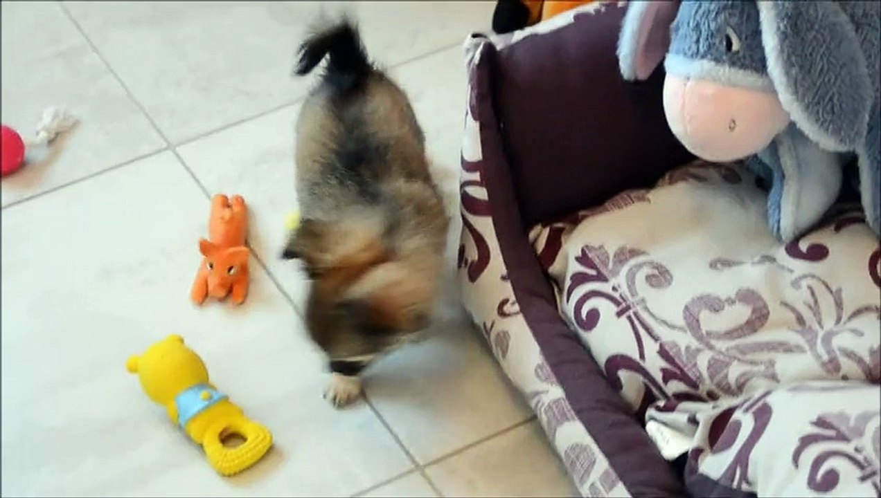 vidéo Lola Little Doll