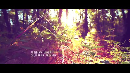 Freischwimmer - California Dreamin