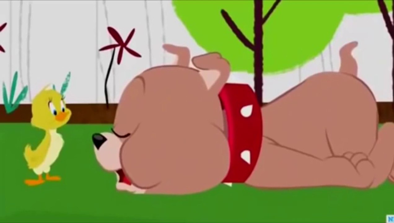Tom and Jerry Cartoon Full Episodes 2015 Hd