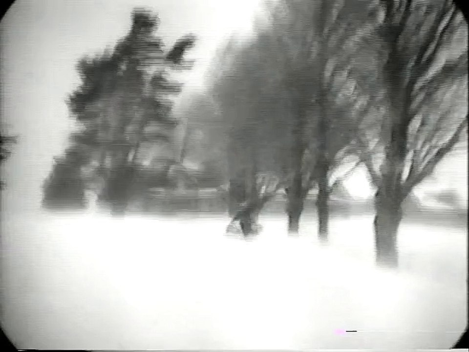 Death of a Lumberjack
