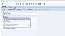 How to default a Particular Tcode in SAP - SAP Basics Video