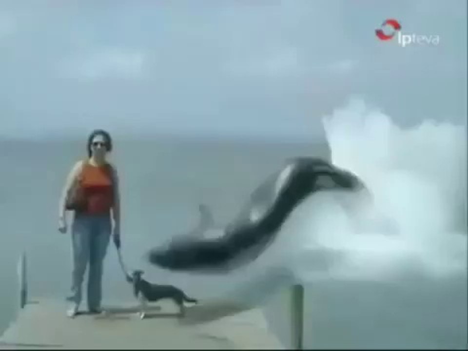 OMG..!  What is this???????Too Scary..