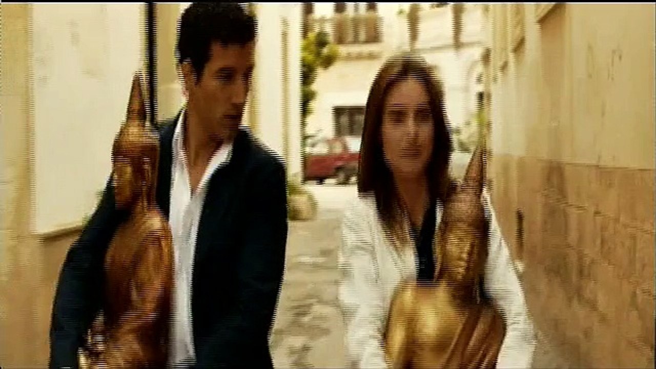 Fasten Your Seatbelts