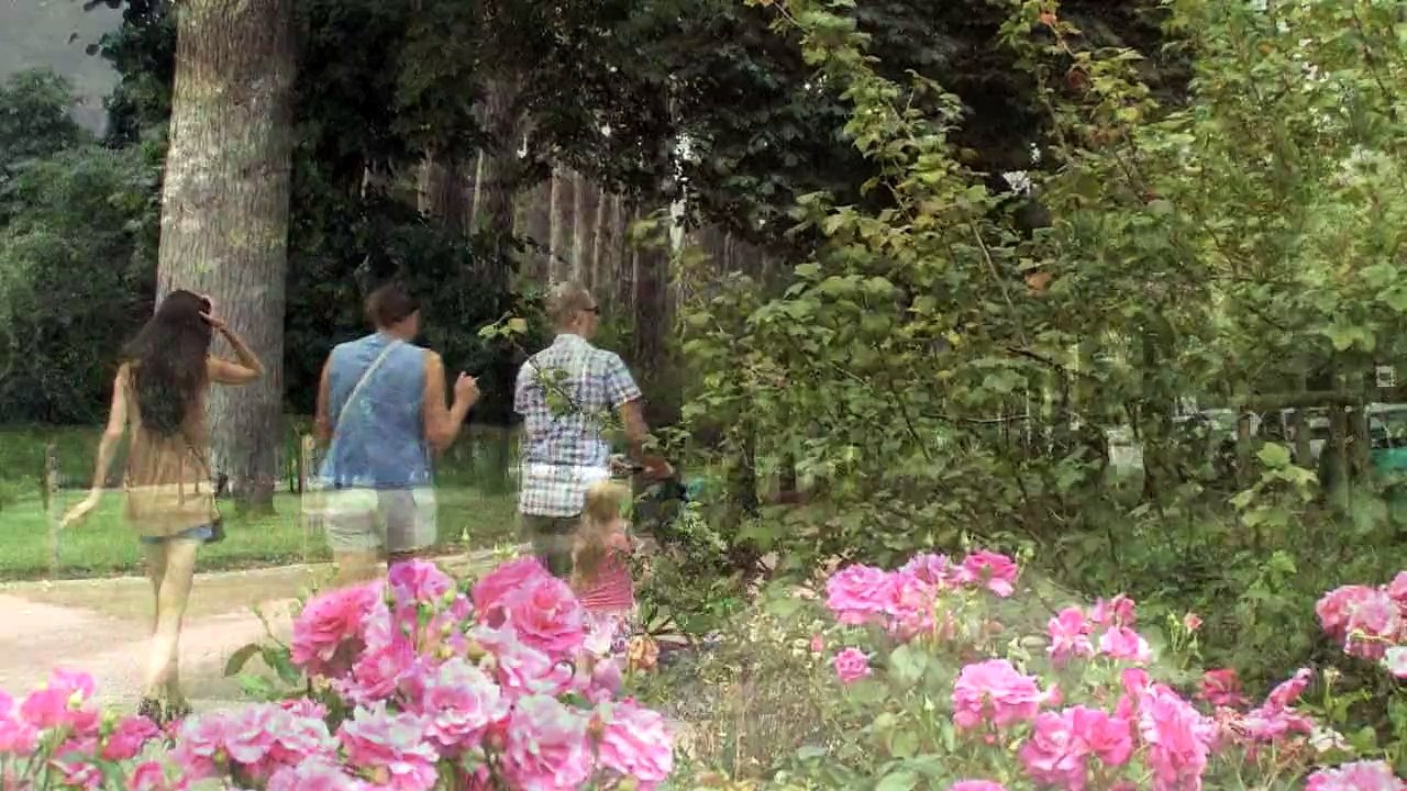 Tous les jours dimanche