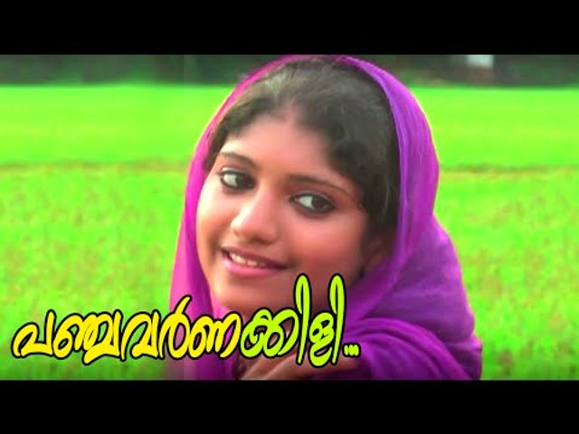 പഞ്ചവർണക്കിലി ...| Malayalam Mappila Songs | Malayalam Album Songs 2015 [HD]