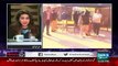 News Eye with Meher Abbasi 29th December 2015 on Dawn News