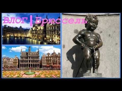 Мы в Брюсселе | Путешествие по Европе продолжается