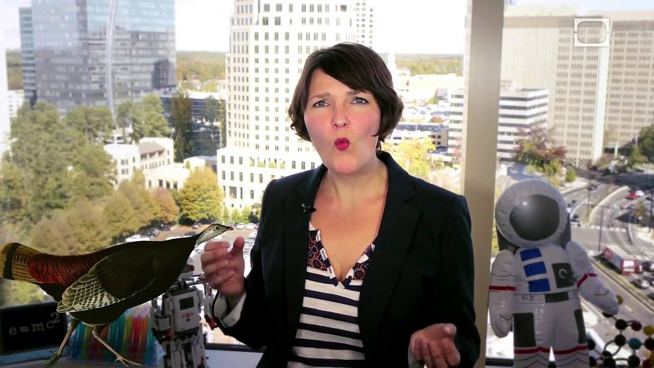 Talking Turkey - Epic Science #67