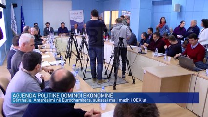 AGJENDA POLITIKE DOMINOI EKONOMINË
