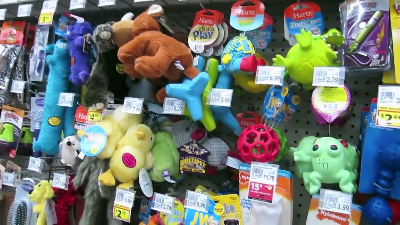 Влог (день 5) / прогулка по Miami, Walgreens,Walmart,плохая погода