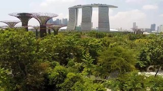 Singapore beautiful city tour