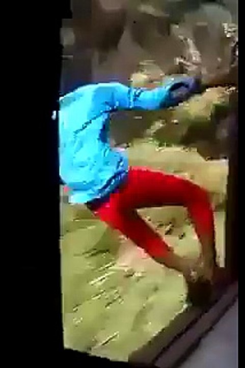 Fun with life will be risk