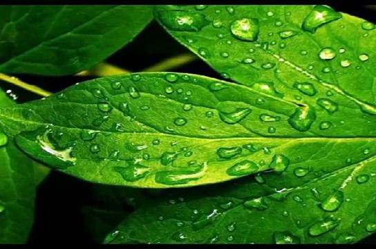 Allah Ke Bandhe Kaise Hote Hai Emotional Bayan By Maulana Tariq Jameel