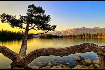 Qabar ka jhatka emotional bayan by Maulana Tariq Jameel