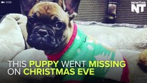 Two Brothers Won't Celebrate Christmas Until Their Missing Puppy Is Returned