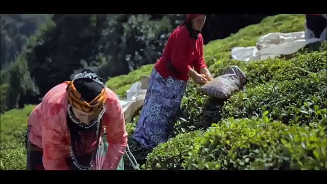 Ziraat Bankası Karadeniz Reklam Filmi _Likapa ( Yeni )