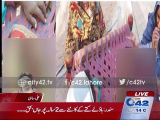 Lahore main 2 saal ki bachi Kutte k katne se halak