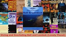 PDF Download  Diving and Snorkeling Bali and Lombok Lonely Planet Download Online