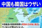 【日本海呼称】 日本海を『東海』にすると『東シナ海』は？中国人だって韓国の主張はウザい！