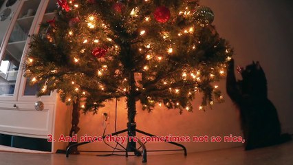 8 Signs Your Cat Believes in Santa