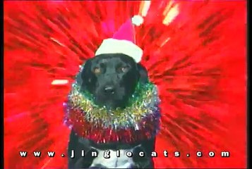 Jingle Bells Jingle Dogs