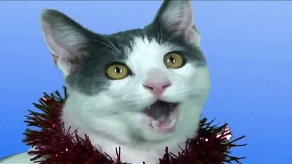 JINGLE CATS "Holly Jolly Christmas"