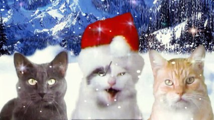 JINGLE CATS Let It Snow Cat SCREEN TEST