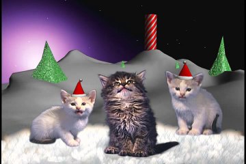 Jingle Cats Silent Night