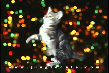 Jingle Cats What Child is This