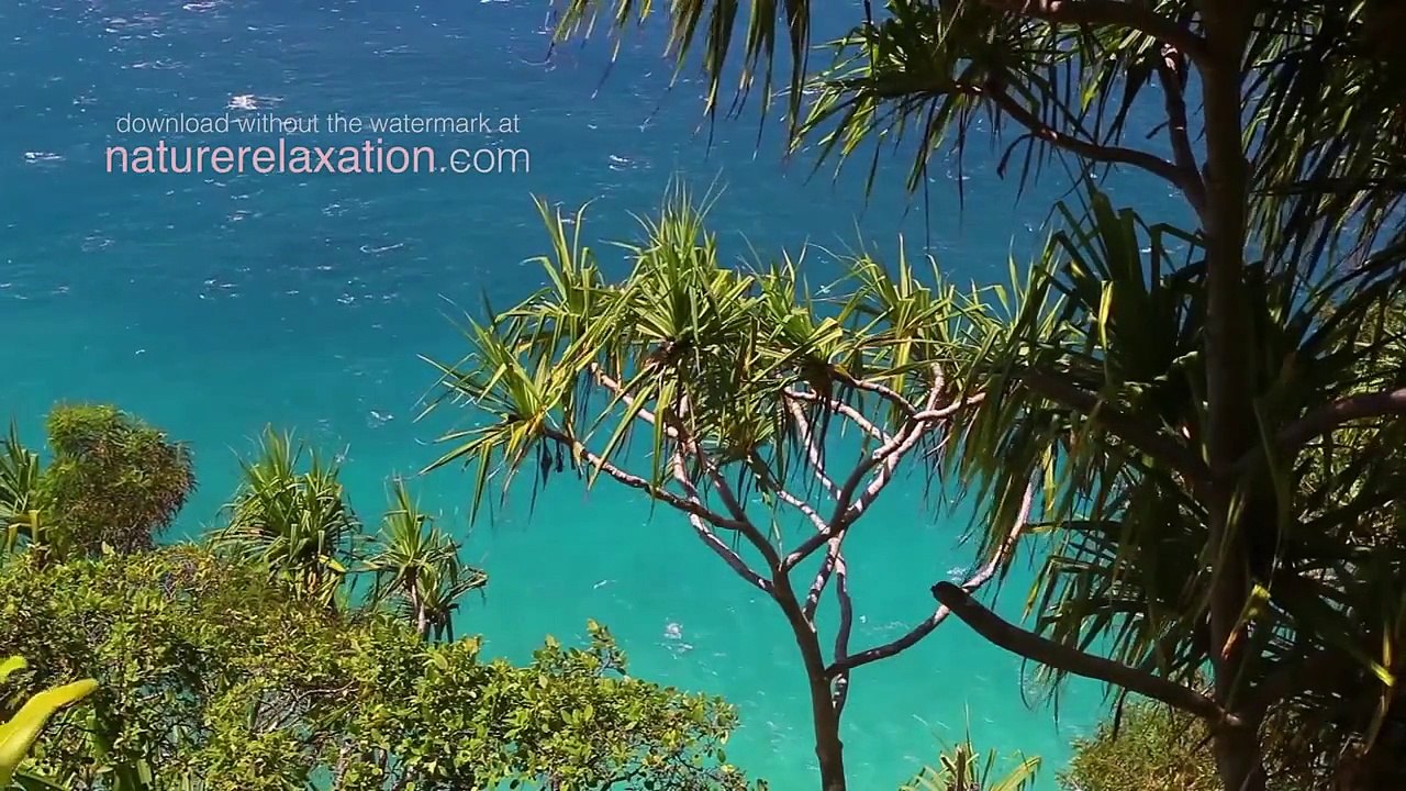 Islands of Paradise 1 Hour in the Fiji Islands (w Nature Sounds) Tropical Relaxation Video
