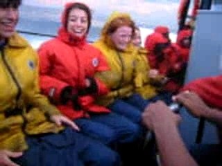 Les baleines canada 2005