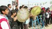 Displaced Iraqis celebrate after Ramadi liberated from IS