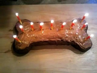 What gifts has received a dog's birthday