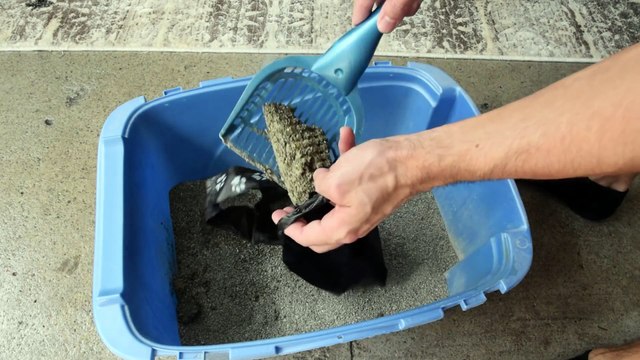 The Mistake You Make When Cleaning The Litter Box