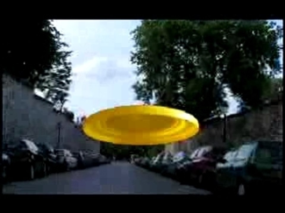Freez bee