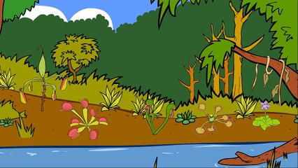 Les plantes carnivores 2ème partie dessin ANM éducatif Genikids pour enfant vidéo