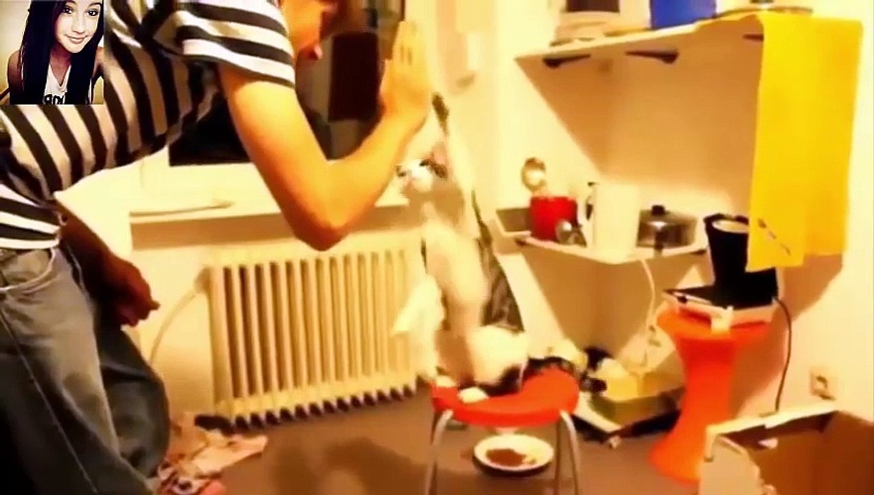 Funny Video Animal-Funny video compilation 2015[HD]