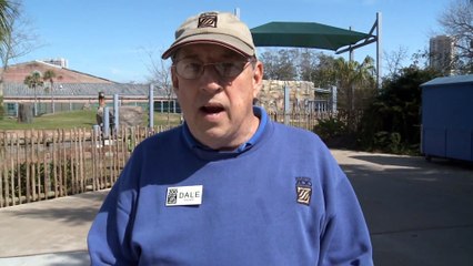 Elephants Take a Bath - Zoo Tripper