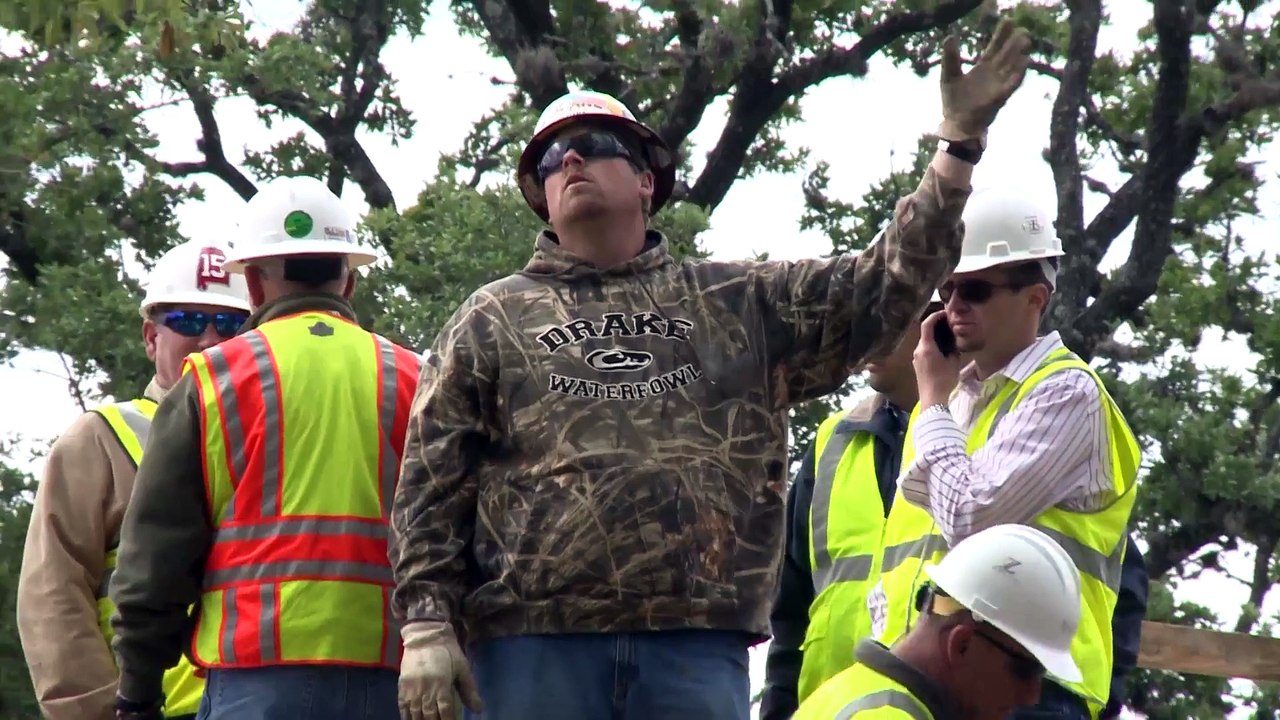 Preparing for Gorillas of the African Forest׃ Moving Trees
