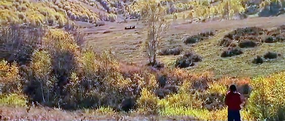 Beautiful Chinese Music【37】Traditional【Really Miss You So】