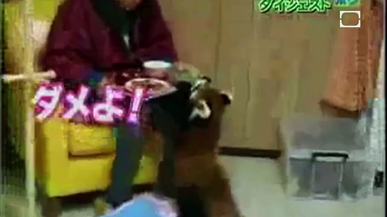 Raccoons Among Us - Science on the Web #24