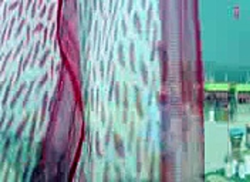 new punjabi full hd song 2016