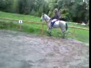 Pégase et moi