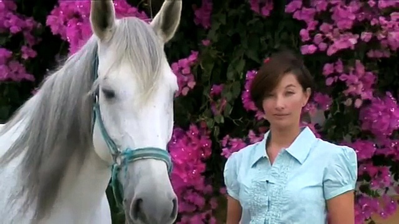 The History Behind The Popular Trend Of Horse Mane Braiding