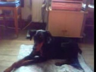 ma fifille Alvann 17-05-07_09.06